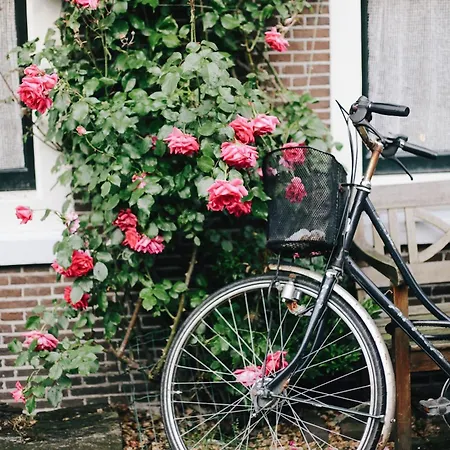Διαμέρισμα Hermitage & - Amsterdam *