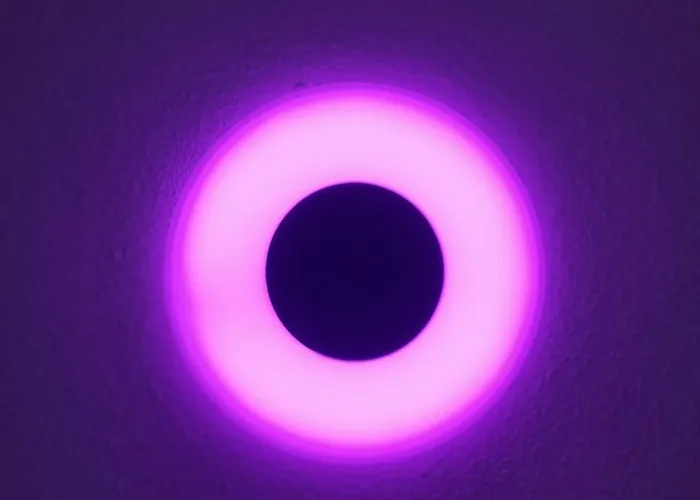 Апартаменты Hermitage & - Amsterdam Зандам