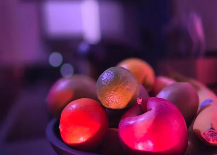 Hermitage & - Amsterdam Зандам