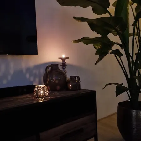 Hermitage & - Amsterdam * Zaandam